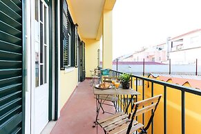 Rato Elegant by Homing