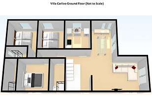 Carlivo in Albufeira