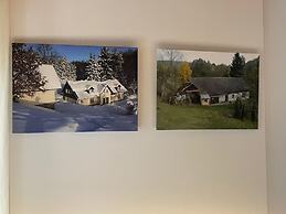 Mlade Buky Kjh348 in Mlad Buky