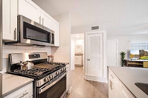 Stylish 1BR Near UT Mueller Evonify