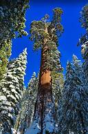 Gena's Sierra Inn & Restaurant