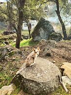 Gena's Sierra Inn & Restaurant