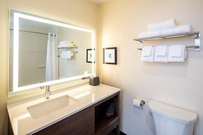 Holiday Inn & Suites Detroit - Troy by IHG