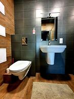 Zvezdnaya mechta Altaya