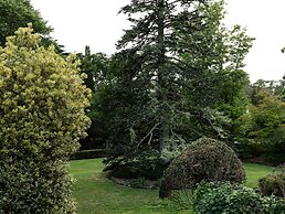 Comfort Resort Leura Gardens