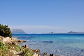 Erica Primo Piano 150m From the Beach