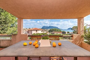 Erica Primo Piano 150m From the Beach