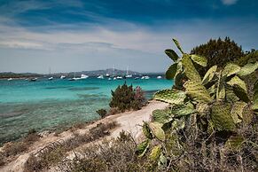 Erica Primo Piano 150m From the Beach