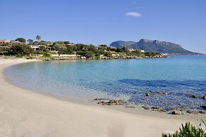 Erica Primo Piano 150m From the Beach