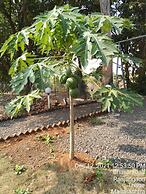 Mesmerising Farm Stay in Chalets Near Mumbai and Pune- Create Memories