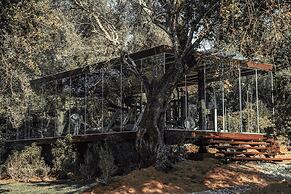 Cook's Club Corfu - Adults Only