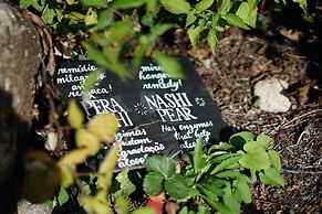 Casa Agrícola da Levada Eco Village