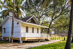 Mastiff Select Terrain Dandeli