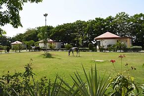 The Desert Den - Little Rann of Kutch