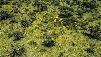 Kigambira Safari Lodge