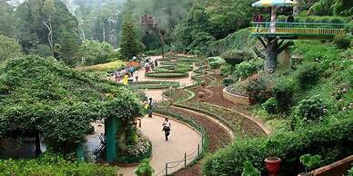 ONELOVEDALE Blusalz Homes