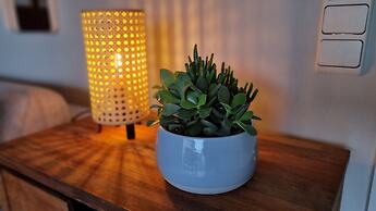 Studio De Haan - Netflix, Gelmatras en Zwembad