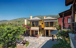 Hotel Alkifron Kala Nera