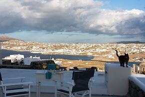 Elegant villa with ocean views & 2 pools