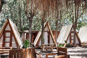 TAIGA Tarifa Punta Paloma