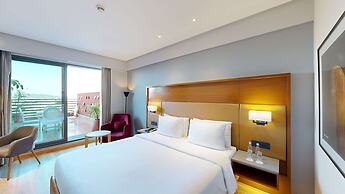 Radisson Hotel Nathdwara