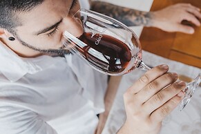 Villa Vinicolla Hospedagem Conceito