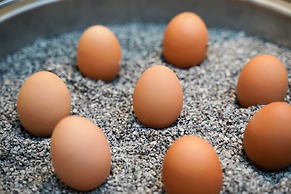 Citadines South Vienna