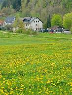 Bellas Mühlbachtal
