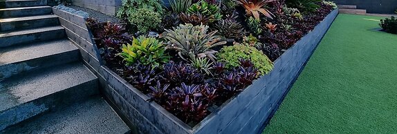 Fabulous Milford 1BR With Views & SkyTV