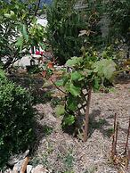 Hôtellerie des Jardiniers Gourmands