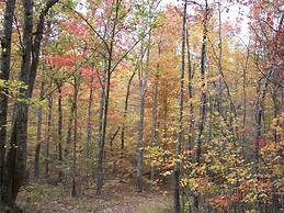 Grandview Experience Lodge