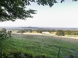 The Hide