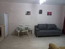 Apartment on Zavodskaya 1