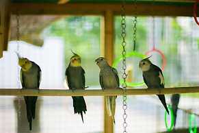 Leisure Inn Resort by NHospitality