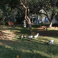 Leisure Inn Resort by NHospitality