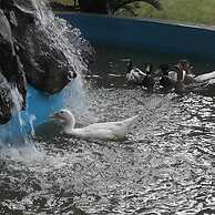 Leisure Inn Resort by NHospitality