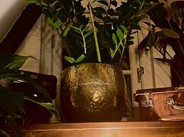 The Enlightened House