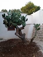 Trullo Sotto le Stelle