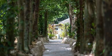 Private Pool Villa Motobu