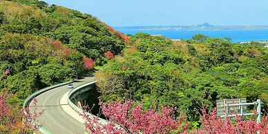 Private Pool Villa Motobu