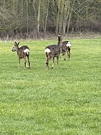 Luxury Boutique Style Lodge With hot tub