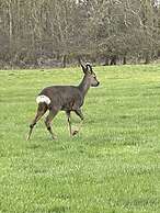 Luxury Boutique Style Lodge With hot tub