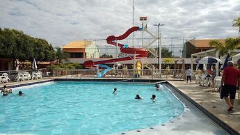 Diroma Fiori - JC TEMPORADA