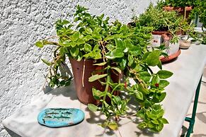 Apartments With sea View in Creta Ierapetra