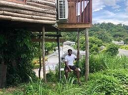 The Blue Mahoe Treehouse