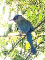 Hostería Brisas del Río
