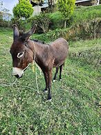 Hostería Brisas del Río