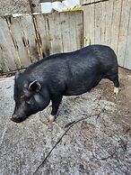 Hostería Brisas del Río