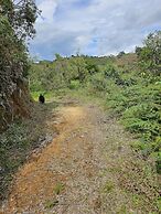 Hostería Brisas del Río