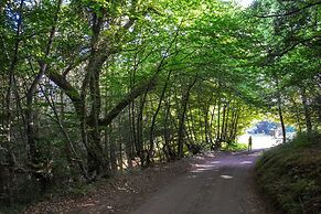 Slowley Farm
